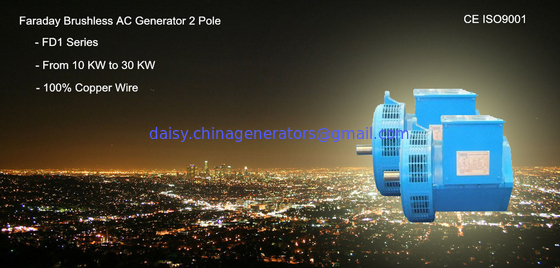 FARADAY Alternator Single Phase Generator